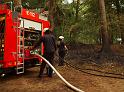 Waldbrand Bergisch Gladbach Bensberg P160